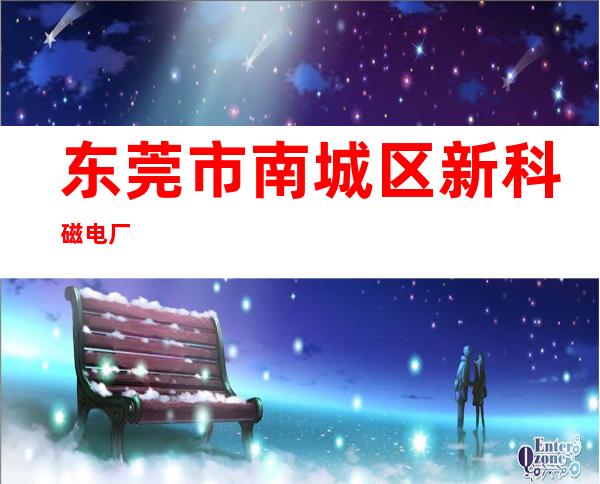 东莞市南城区新科磁电厂